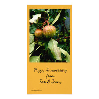 Apples in the Fall Card