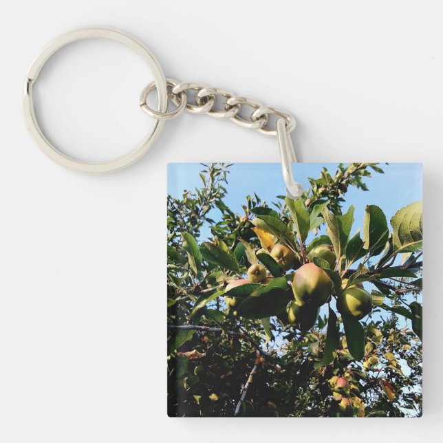 Apples Keychain (Front)