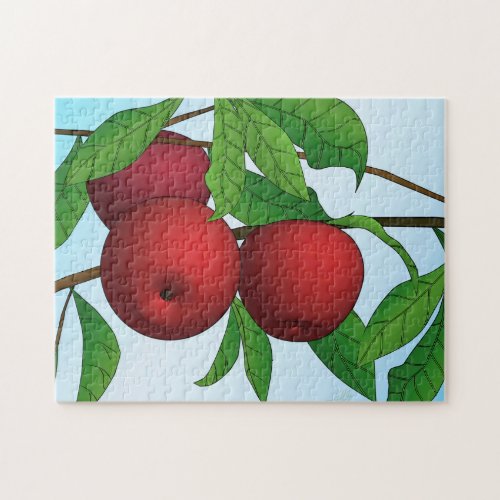 Apples on a Branch Jigsaw Puzzle