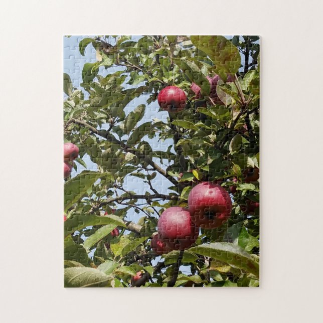 Apples on Apple Tree Jigsaw Puzzle (Vertical)