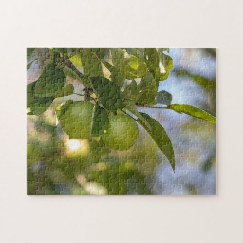 Apples on Branch Jigsaw Puzzle