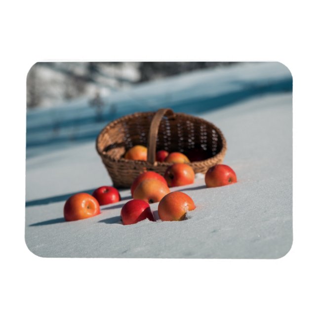 Apples on the snow magnet (Horizontal)