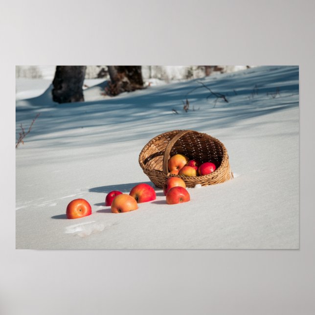Apples on the snow poster (Front)
