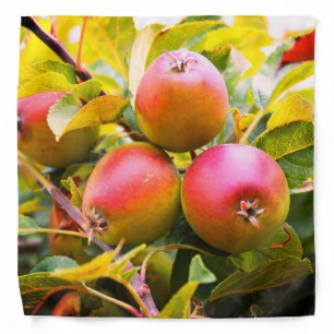 Apples on the tree fashion bandana