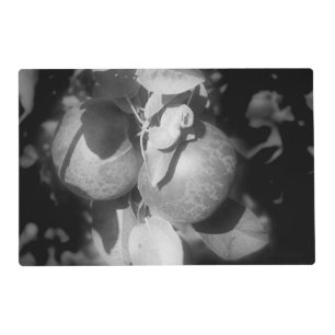 Apples On The Tree In Black And White Placemat