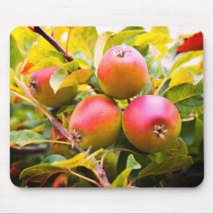 Apples on the tree mouse pad