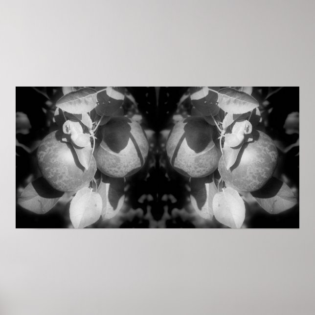 Apples On Tree Black And White Mirror Abstract Poster (Front)