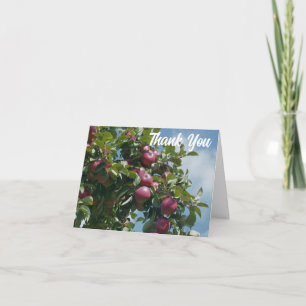 Apples On Tree Personalized Thank You Card