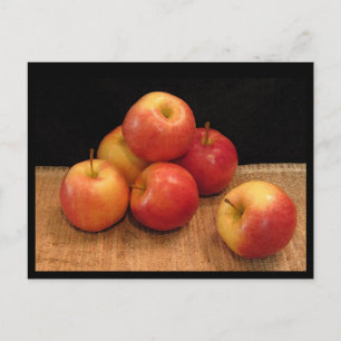 Apples Postcard