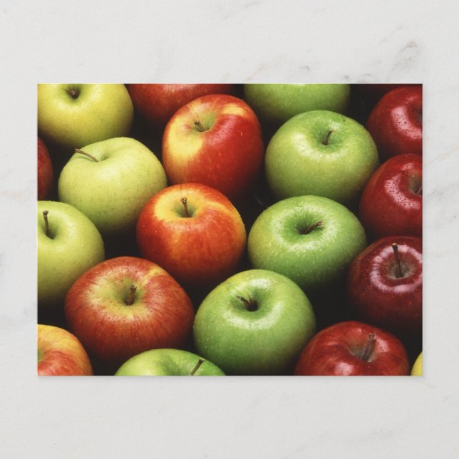 Apples Postcard (Front)