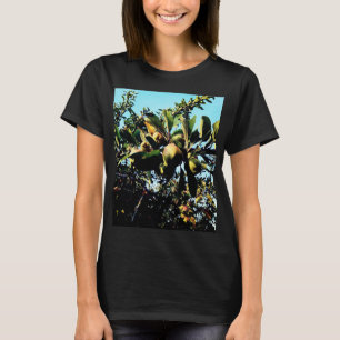 Apples T-Shirt