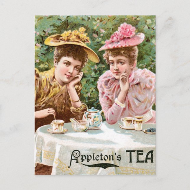 Appleton's Tea Vintage Drink Ad Art Postcard (Front)