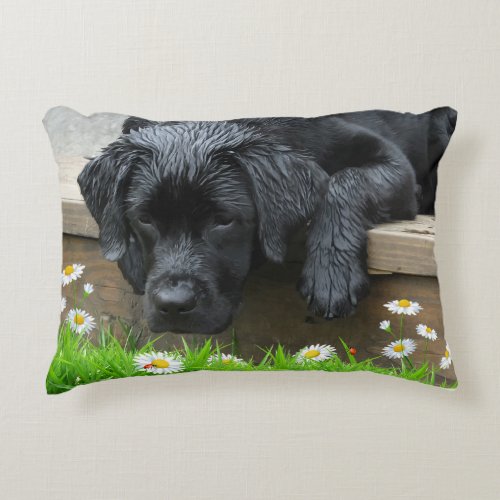 Appreciate the Little Things _ Black Labrador Accent Pillow