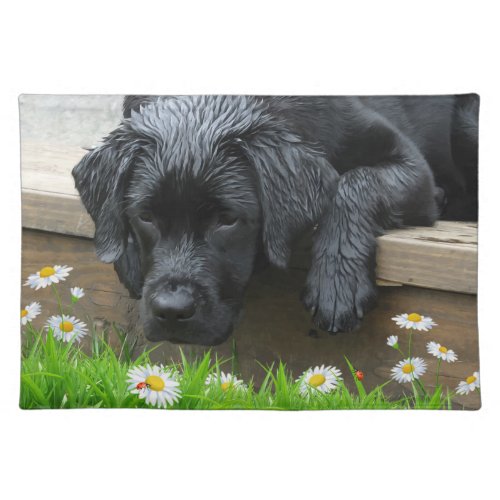 Appreciate the Little Things _ Black Labrador Cloth Placemat