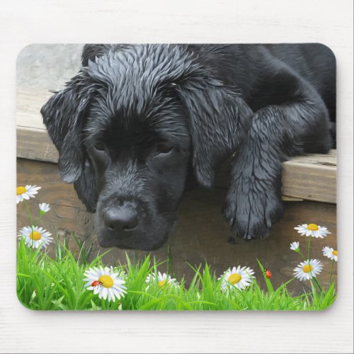 Appreciate the Little Things _ Black Labrador Mouse Pad