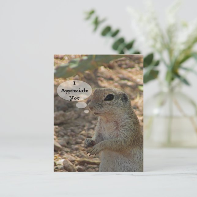 Appreciate You Ground Squirrel Photo Desert Animal Postcard (Standing Front)