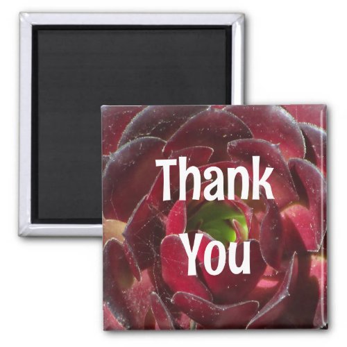 Appreciation Succulent Photo Red Plant Thank You Magnet