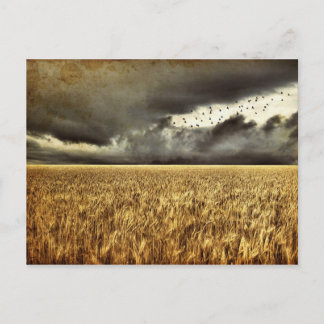 Approaching Storm Post Card