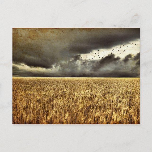 Approaching Storm Post Card (Front)