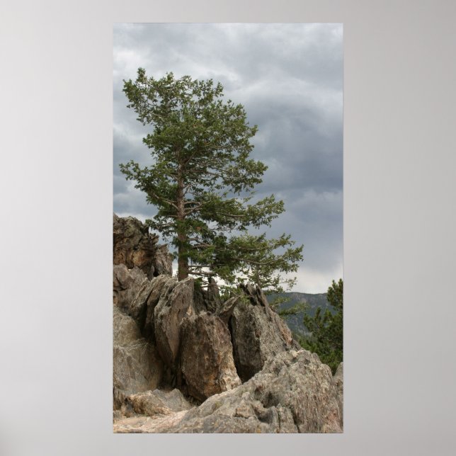 Approaching Storm Poster (Front)