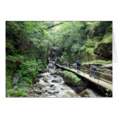 Approaching the Flume - Card (Front Horizontal)