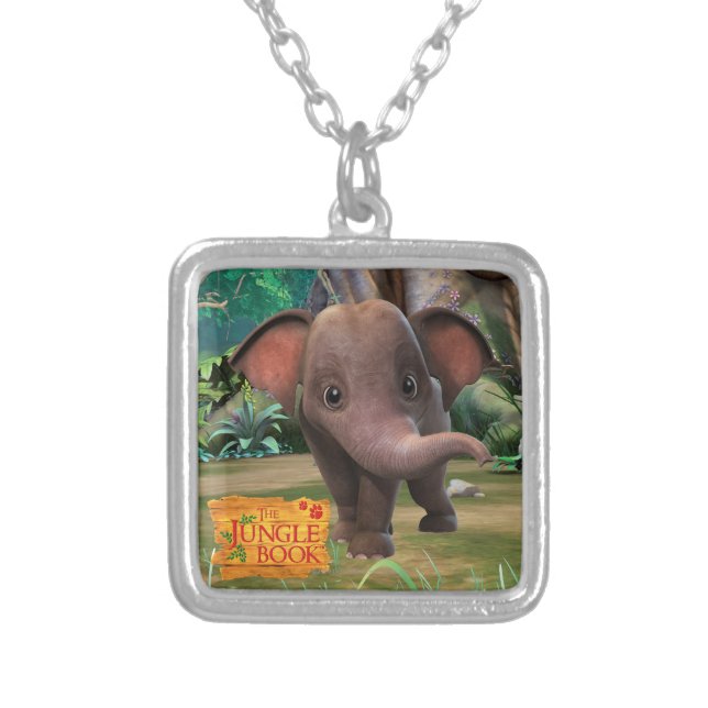 Appu Silver Plated Necklace (Front)