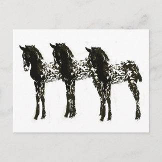 Appy Colts Postcard