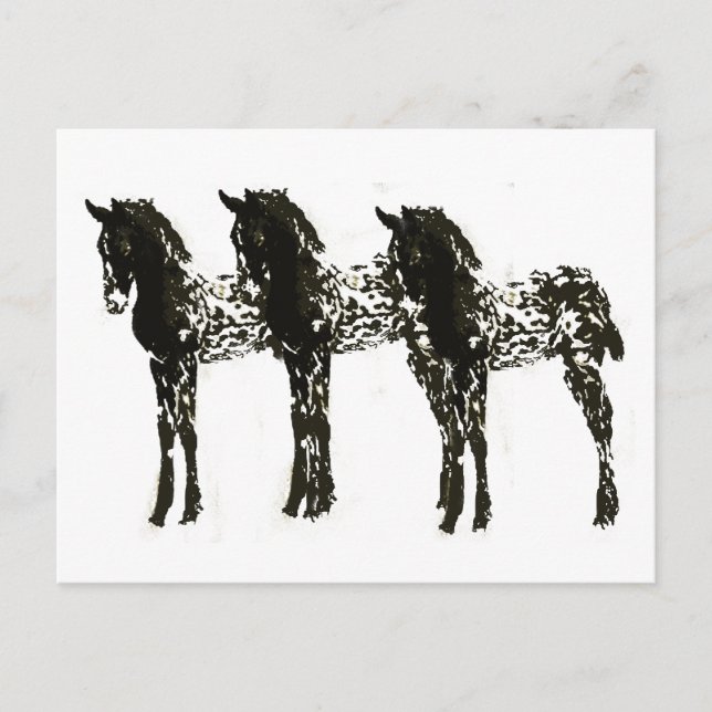 Appy Colts Postcard (Front)