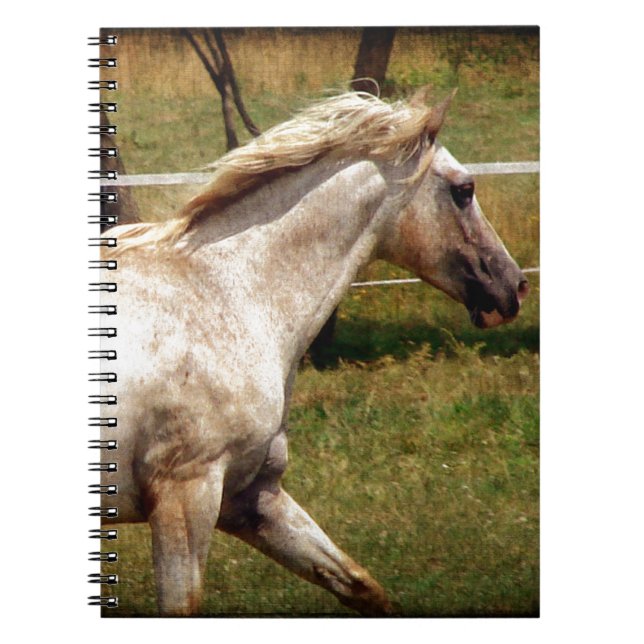 Appy Notebook (Front)