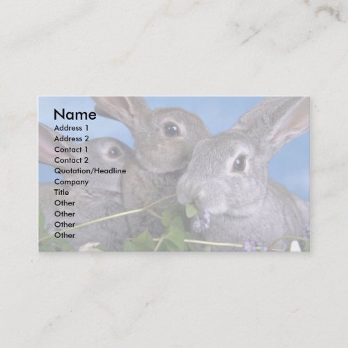 Apricot and Blue Rex Rabbit Business Card