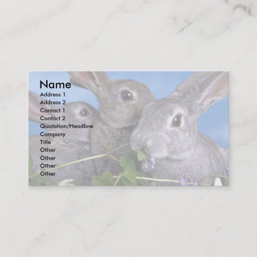 Customizable Apricot and Blue Rex Rabbit Business Card