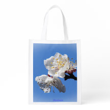 Apricot Blossoms reusable bag