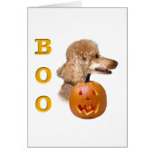 Apricot Coated Poodle Boo (Front)