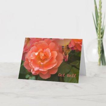 Apricot-colored Rose Get Well Card by bluerabbit at Zazzle