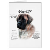 Apricot Fluffy Mastiff History (Front)