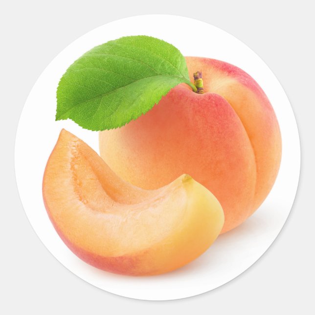 Apricot fruit classic round sticker (Front)