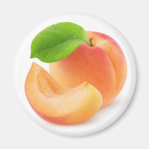 Apricot fruit magnet