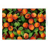 Apricot garden 1 (Front Horizontal)