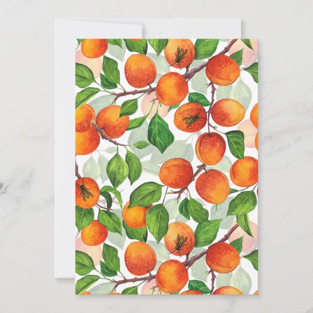 Apricot garden 3 (Front)