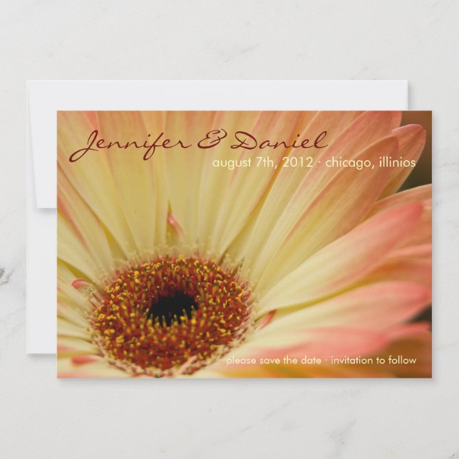 Apricot Gerbera • Save the Date Announcement (Front)
