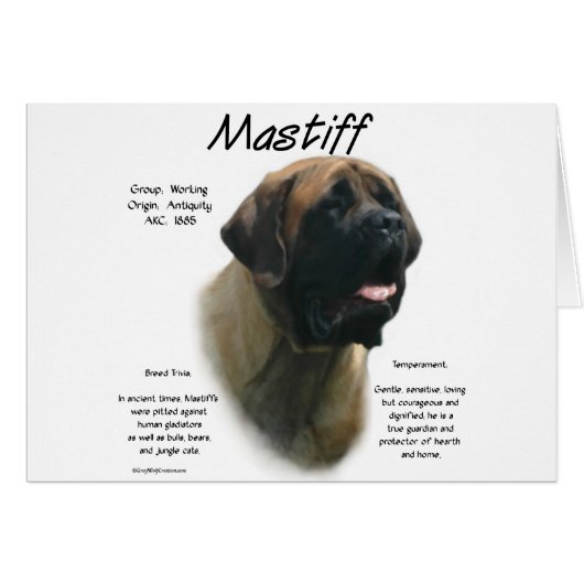 Apricot Mastiff History Cards (Front Horizontal)