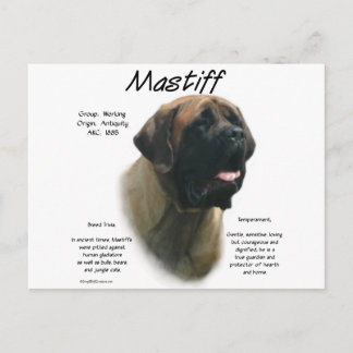 Apricot Mastiff History Postcard