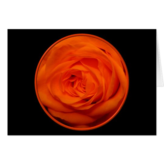 Apricot/Orange colored rose Card