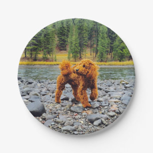 Apricot Poodle - Customizable Gift Paper Plates