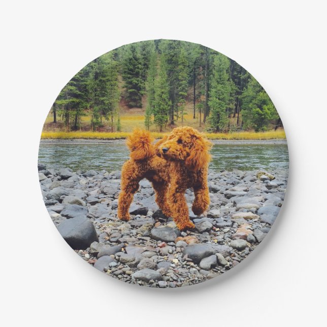 Apricot Poodle - Customizable Gift Paper Plates (Front)