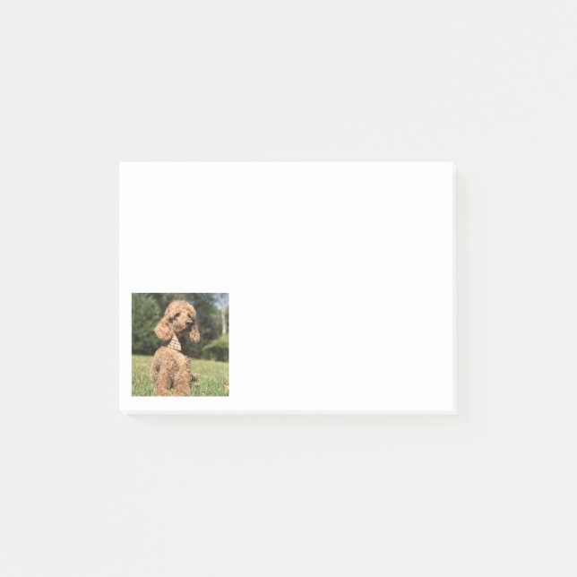 Apricot Poodle Customizable Post-it Notes (Front)