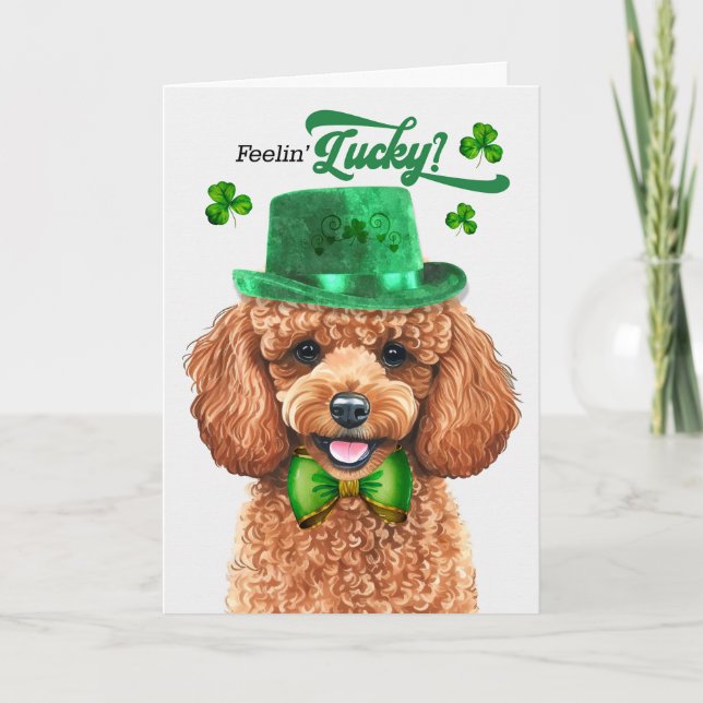 Apricot Poodle Dog Feelin' Lucky St Patrick's Day Holiday Card (Front)