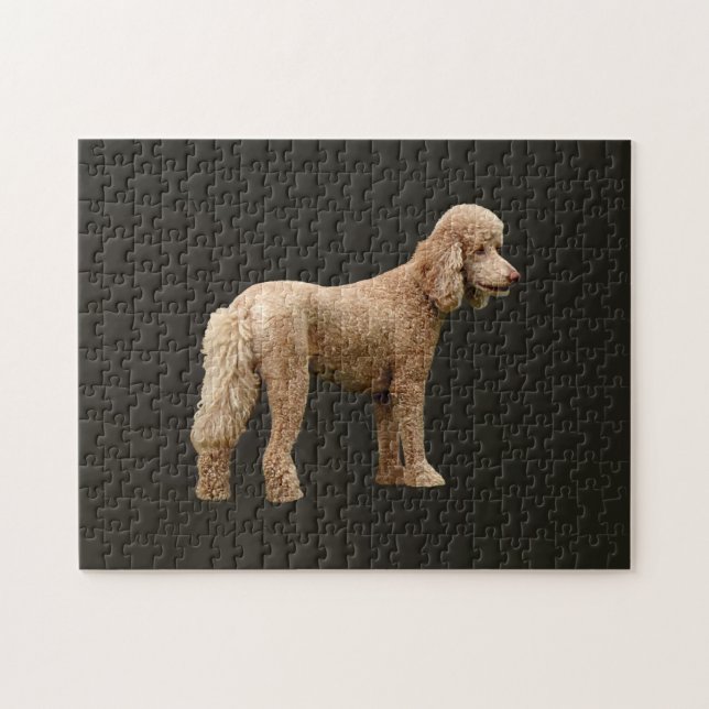 Apricot Poodle Jigsaw Puzzle (Horizontal)