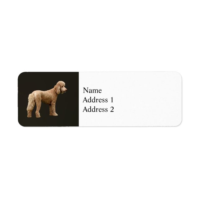 Apricot Poodle Label (Front)