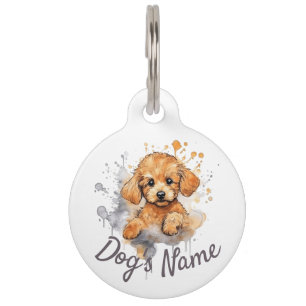 Apricot Poodle Maltipoo puppy Pet ID Tag